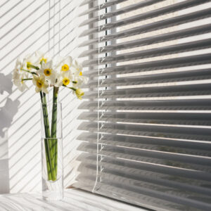 Eclipse Blackout Curtains 2